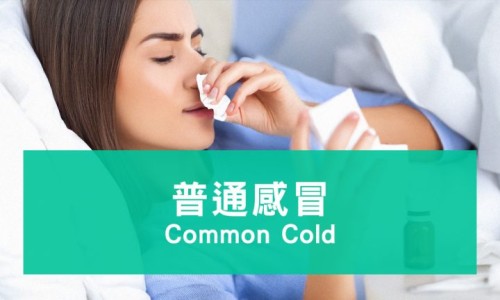怀孕期间同房还能再怀孕吗?-怀孕期间同房还会出卵子吗网 - 为你提供怀孕期间同房会怎么样、怀孕期间同房对孩子有什么影响