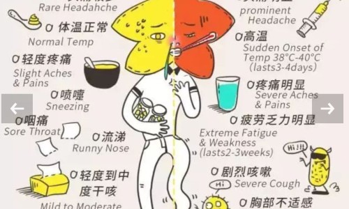 怀孕期间同房还能再怀孕吗?-怀孕期间同房还会出卵子吗网 - 为你提供怀孕期间同房会怎么样、怀孕期间同房对孩子有什么影响
