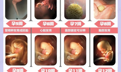 怀孕期间同房对孩子有好处吗-怀孕期间同房还会出卵子吗网 - 为你提供怀孕期间同房会怎么样、怀孕期间同房对孩子有什么影响